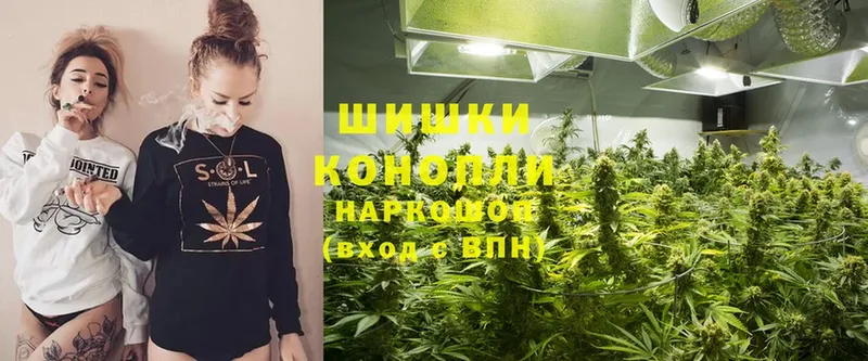 Бошки Шишки White Widow  наркота  Коммунар 